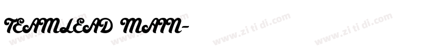 TEAMLEAD MAIN字体转换